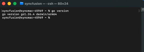 Terminal showing successful 'go version' output on macOS