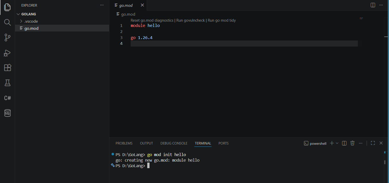 Terminal showing 'go mod init' command creating go.mod file